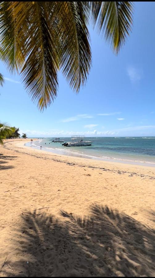 Lovely Beachfront 2 Bedrooms Condo With 2 Pools Las Terrenas Eksteriør bilde